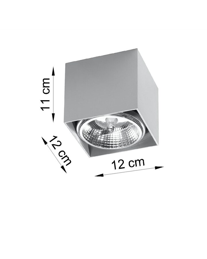 Griestu lampa Plafond BLAKE pelēka, Spuldze: GU10, 1x40W, 50Hz, 220V, IP20